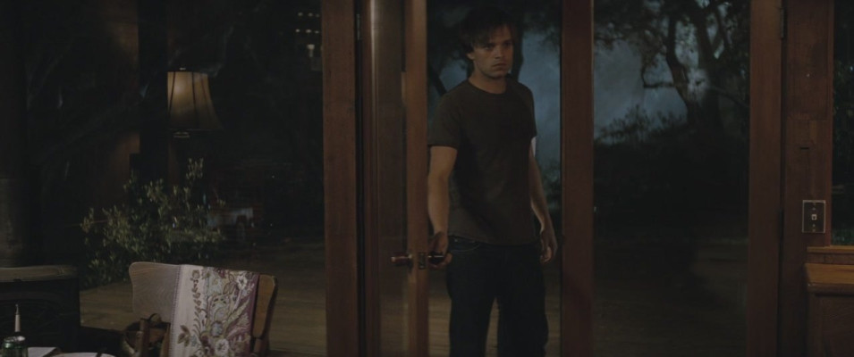 Sebastian Stan pic #878968