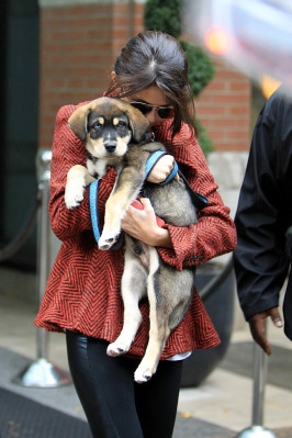 Selena Gomez pic #416854