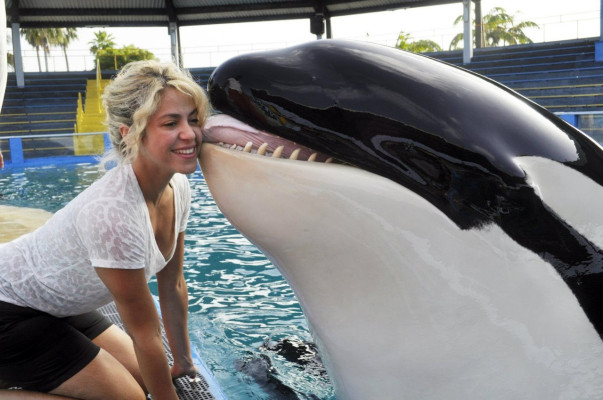 Shakira Mebarak pic #583416