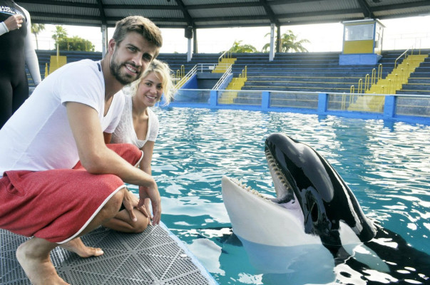 Shakira Mebarak pic #583824