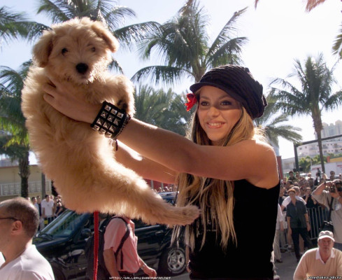 Shakira Mebarak pic #583822