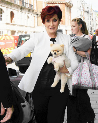 photo 6 in Sharon Osbourne gallery [id627231] 2013-08-24 00:00:00