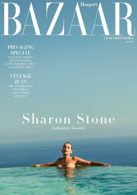 photo 11 in Sharon Stone gallery [id1360404] 2024-11-16 00:00:00