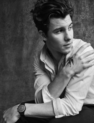 Shawn Mendes pic #1176610