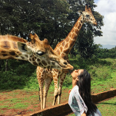 Shay Mitchell pic #823629