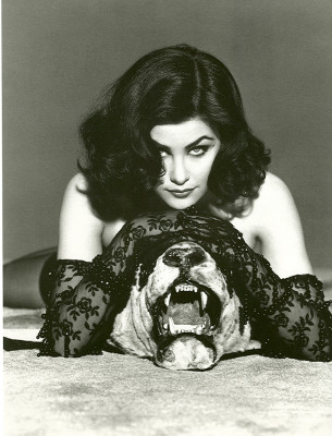 photo 3 in Sherilyn Fenn gallery [id218027] 2009-12-22 00:00:00