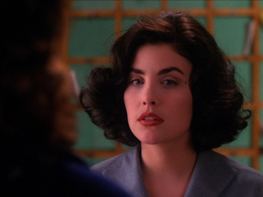 Sherilyn Fenn pic #564794