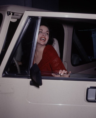 Sherilyn Fenn pic #655492