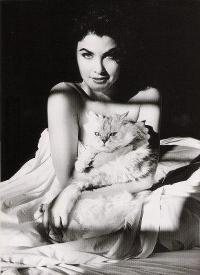 Sherilyn Fenn pic #911772