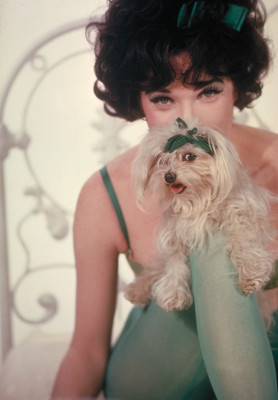 photo 7 in Shirley Maclaine gallery [id413567] 2011-10-21 00:00:00
