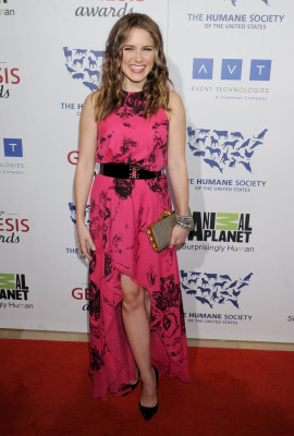 Sophia Bush pic #466263