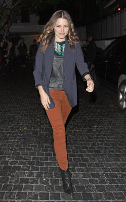 Sophia Bush pic #455545
