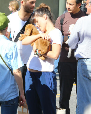 Sophia Bush pic #576087