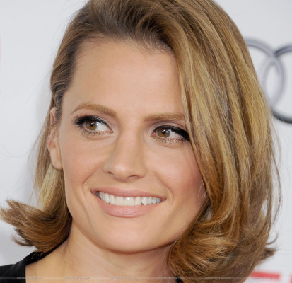 Stana Katic pic #646869