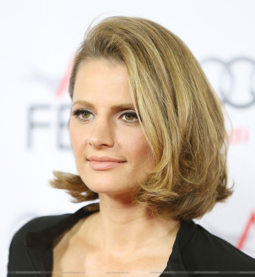 Stana Katic pic #646863