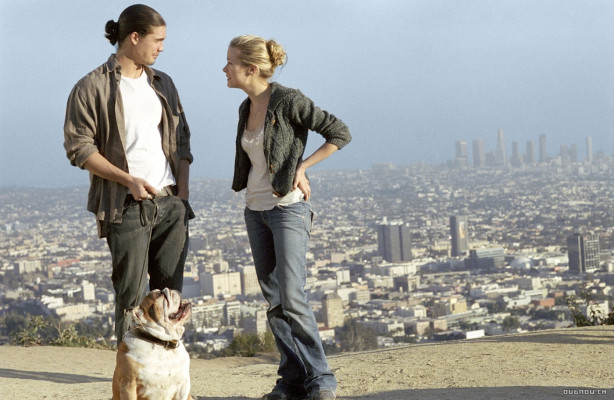 Steven Strait pic #183920