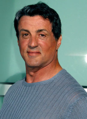 photo 4 in Stallone gallery [id549373] 2012-11-10 00:00:00