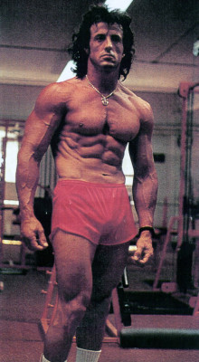 photo 22 in Stallone gallery [id551479] 2012-11-12 00:00:00