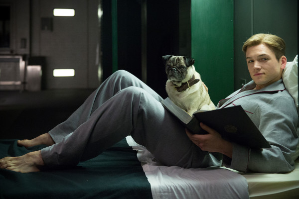 Taron Egerton         pic #1315078