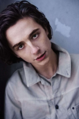 photo 25 in Timothee Chalamet gallery [id1009889] 2018-02-16 00:00:00