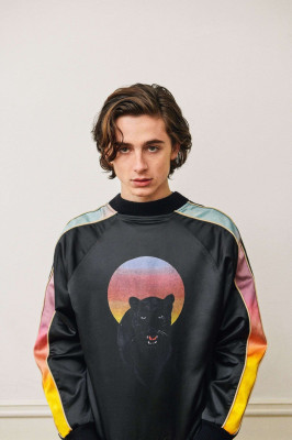 photo 27 in Chalamet gallery [id1009887] 2018-02-16 00:00:00