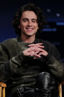 Timothee Chalamet pic #1345137