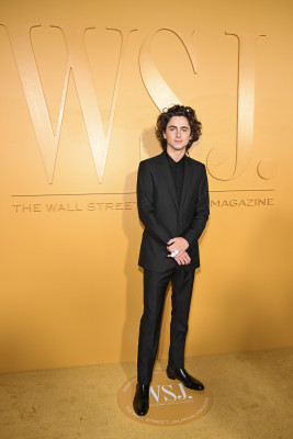 Timothee Chalamet pic #1338193