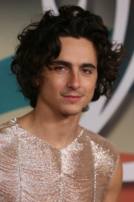 Timothee Chalamet pic #1344446