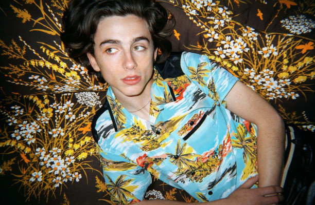 photo 5 in Timothee gallery [id1009879] 2018-02-16 00:00:00