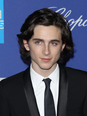 Timothee Chalamet pic #1298638