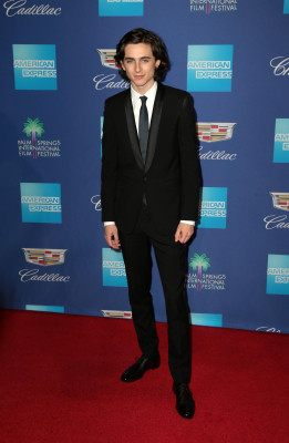 Timothee Chalamet pic #1298641