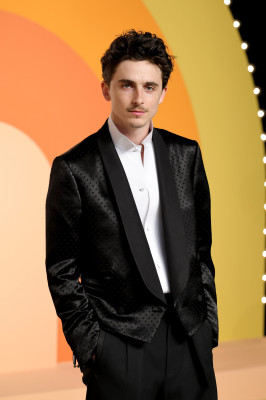 photo 27 in Timothee gallery [id1370124] 2025-04-19 00:00:00