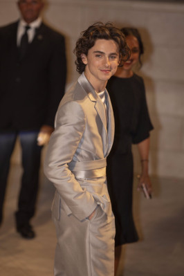 Timothee Chalamet pic #1360425