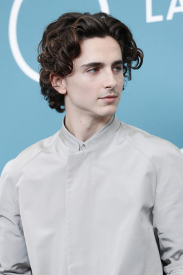 Timothee Chalamet pic #1320822