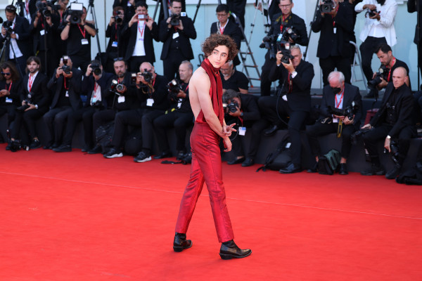 Timothee Chalamet pic #1310414