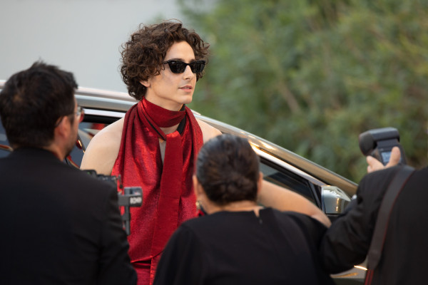 Timothee Chalamet pic #1310422