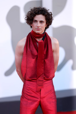 photo 4 in Timothee gallery [id1310420] 2022-09-24 00:00:00