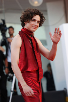 Timothee Chalamet pic #1319639