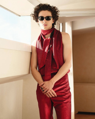 Timothee Chalamet pic #1310437