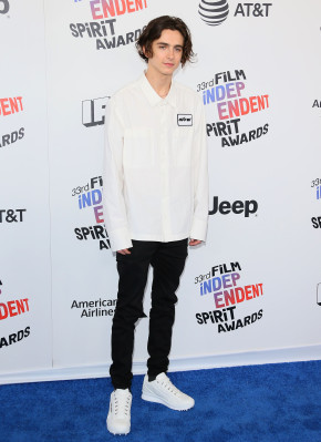 Timothee Chalamet pic #1326192
