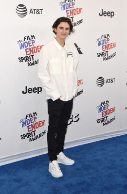 Timothee Chalamet pic #1304129