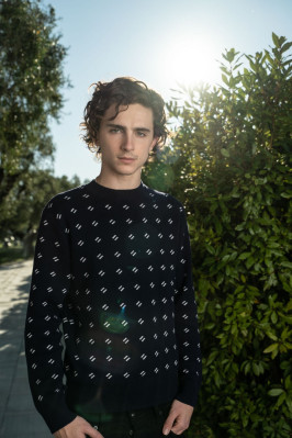 photo 22 in Timothee Chalamet gallery [id1319559] 2023-01-09 00:00:00