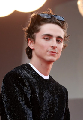 photo 27 in Timothee gallery [id1271192] 2021-09-24 00:00:00