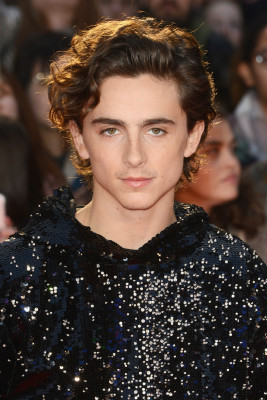 Timothee Chalamet pic #1272598
