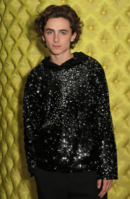 photo 11 in Chalamet gallery [id1272514] 2021-10-08 00:00:00
