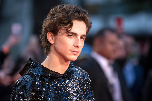 Timothee Chalamet pic #1305746