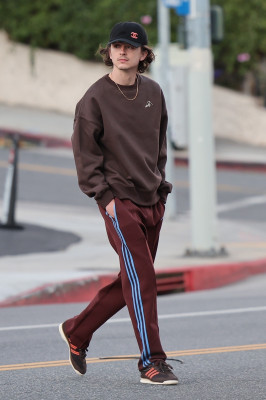 Timothee Chalamet pic #1343015