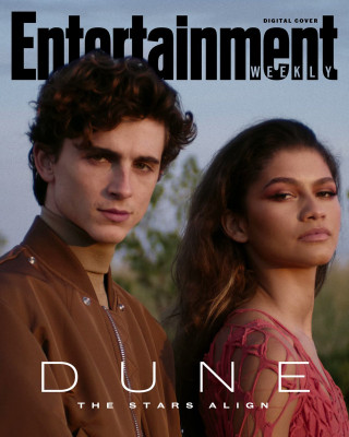 photo 13 in Chalamet gallery [id1274624] 2021-10-15 00:00:00