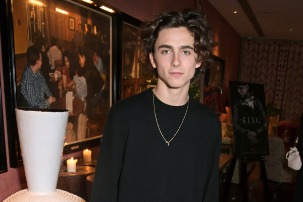 Timothee Chalamet pic #1309838