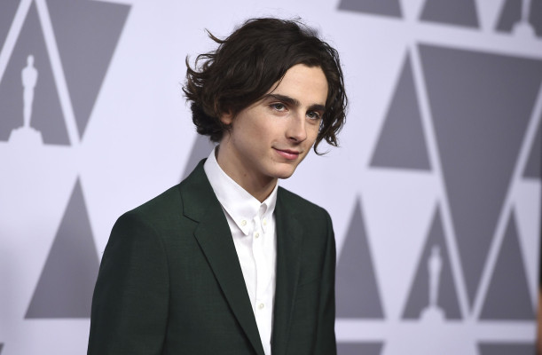 photo 6 in Timothee gallery [id1325132] 2023-03-31 00:00:00